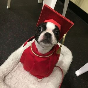 Meet your Posher, Ben